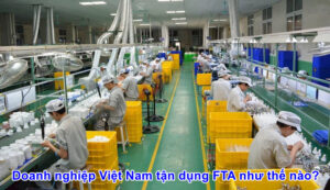 doanh nghiep viet nam tan dung fta nhu the nao